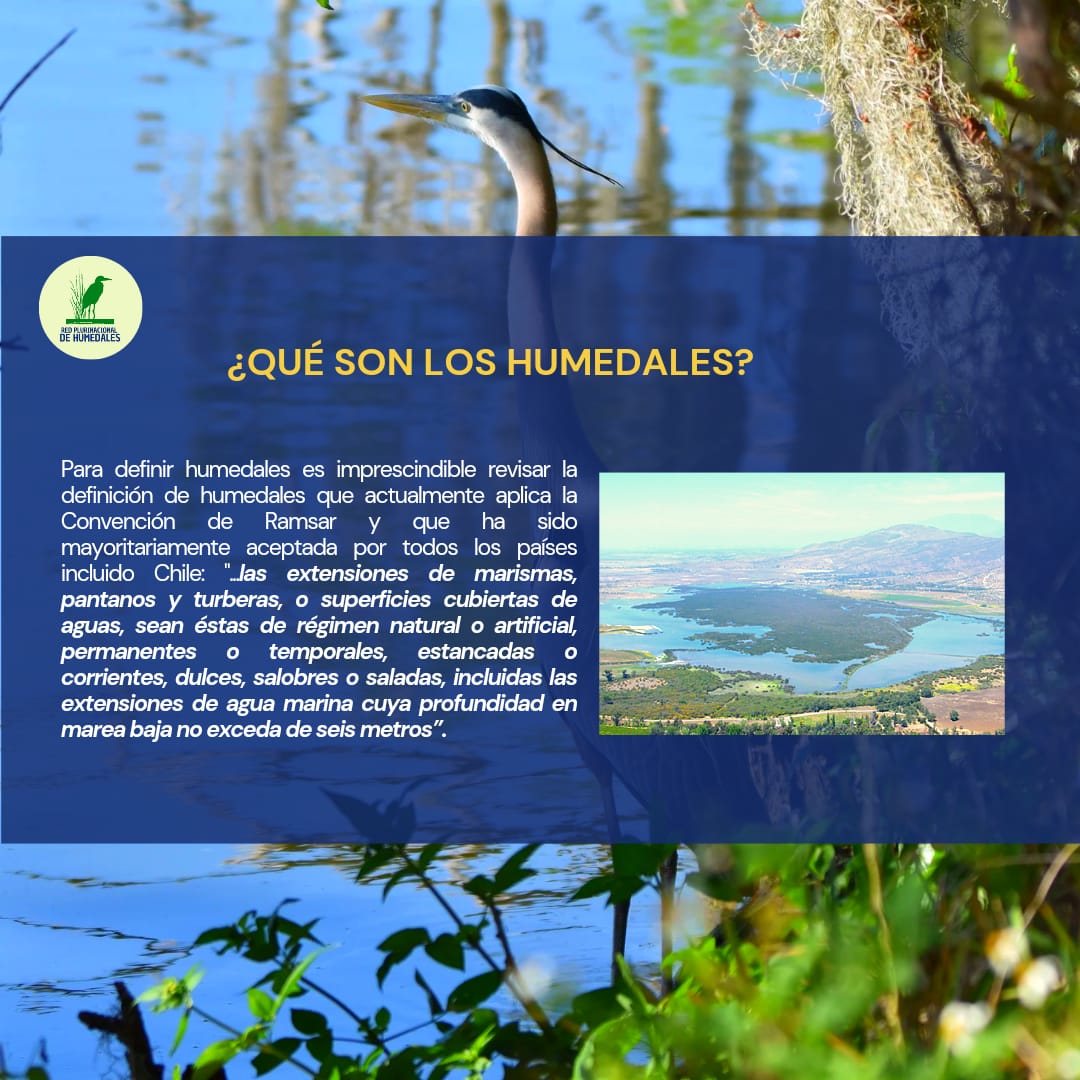 Día Mundial del Agua